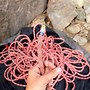 Image result for Mellion Climbing Gear