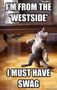 Image result for Strutting Cat Meme