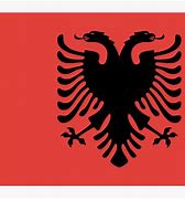 Image result for Albanian Flag Logo