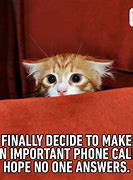 Image result for Funny Dog On Phone Meme