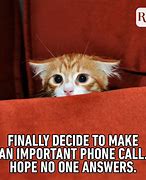 Image result for Cat Phone Lost Meme