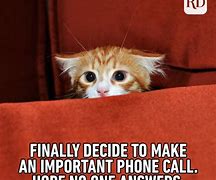 Image result for Give Me a Call at Your Convenience Meme