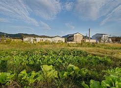 Image result for Solar Panel Farm Japan