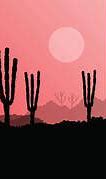 Image result for Desert and Cactus Flyer Background