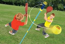 Image result for Swingball Set for Dogs