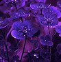 Image result for Dark Purple Flower iPhone Wallpaper
