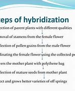 Image result for Hybridization in Plant Breeding