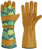Image result for Ladies Leather Gardening Gloves