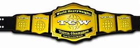 Image result for Trivia Championship Belt