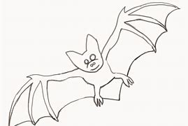 Image result for Bat Drawing Black White