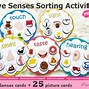 Image result for 5 Senses Sorting Activity