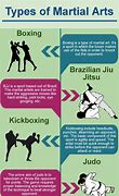 Image result for Japanese Martial Arts Styles