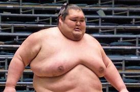 Image result for Giant Sumo Wrestler