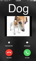 Image result for Dog Calling On a Phone Meme