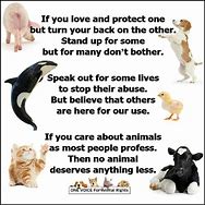 Image result for Poem On Animal Rights