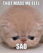 Image result for Funny Sad Cat Meme