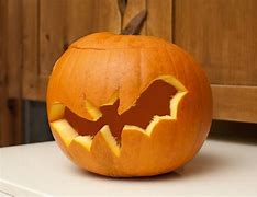 Image result for Bat-Shaped