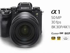 Image result for Sony A111 Camera