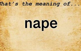 Image result for Nape Definition