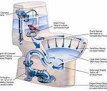 Image result for siphonic toilet parts