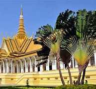 Image result for Cambodia Cricket