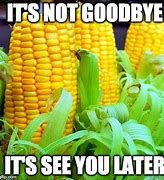 Image result for Corn Again Meme