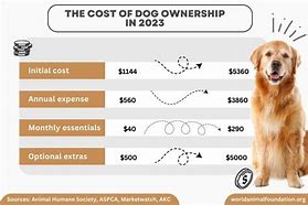 Image result for How Much Is a Dog