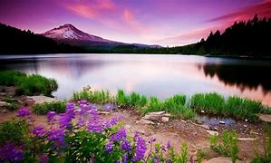 Image result for iPad Landscape Wallpaper