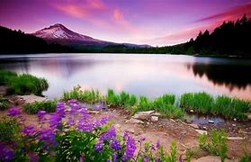 Image result for Beautiful Free Landscape Wallpapers