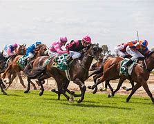 Image result for Horse Racing Photography