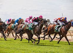 Image result for Horse Racing Pictures