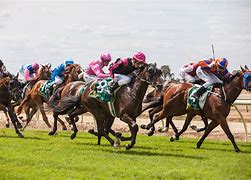 Image result for A Horse Race