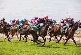Image result for Horse Race