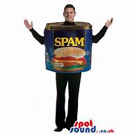 Image result for Spam Can Costume
