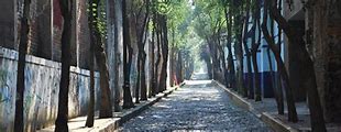 Image result for Tlalpan