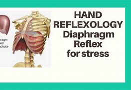 Image result for Bass Reflex Diaphragm