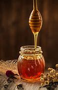 Image result for Kentucky Honey