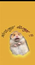 Image result for Zoom Hamster Meme