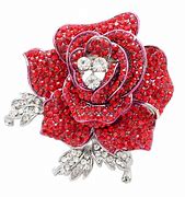 Image result for Rose Pin Politicians