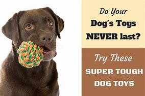 Image result for Best Dog Toys for Chewers