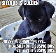 Image result for Pet Dog Meme