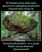 Image result for co_oznacza_Żywa_skała