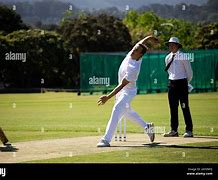 Image result for Cricket Pitch with Players