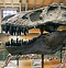 Image result for Second Largest Dinosaur