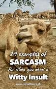 Image result for Sarcastic Puns