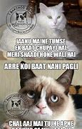 Image result for Indian Cat Meme