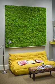 Image result for Indoor Small Nome House with Moss