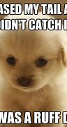 Image result for Funny Dog Memes for Kids Clean