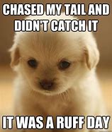 Image result for Memes for Kids About Animals