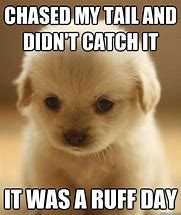 Image result for Cute Baby Puppies Memes